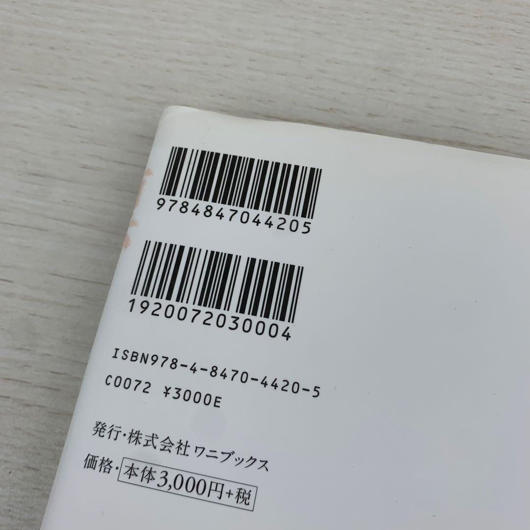 凛 村井美樹写真集 初版 帯付き DVD付き